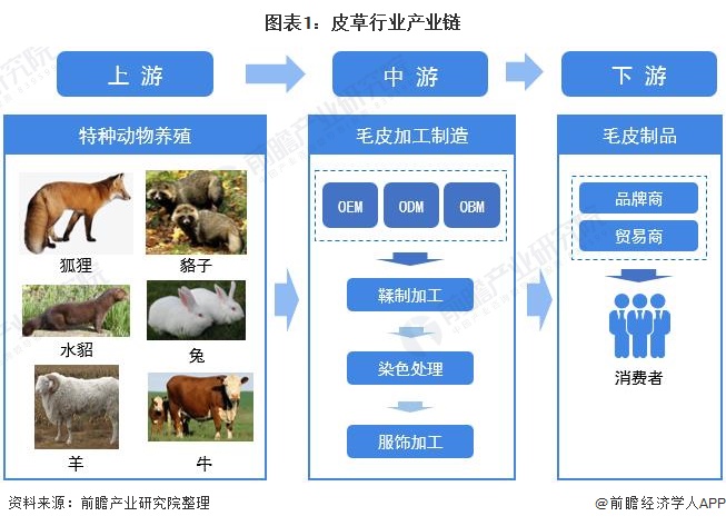 业全景图谱》(附产业链现状、市场规模、区域分布等)ag旗舰手机版预见2021：《2021年中国皮草行(图3)