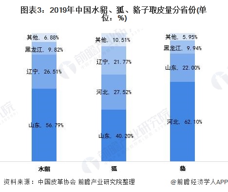 业全景图谱》(附产业链现状、市场规模、区域分布等)ag旗舰手机版预见2021：《2021年中国皮草行(图8)